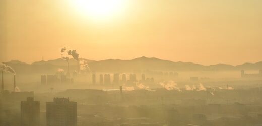 Jak smog wpływa na człowieka?