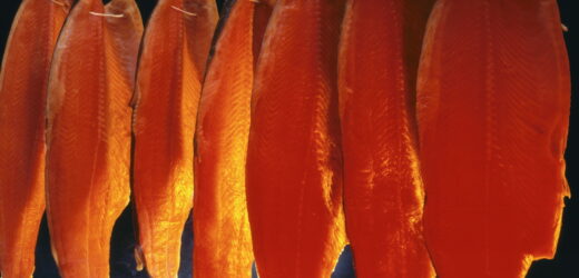 Świeże ryby – dlaczego warto stawiać na dobrą wędzarnię?